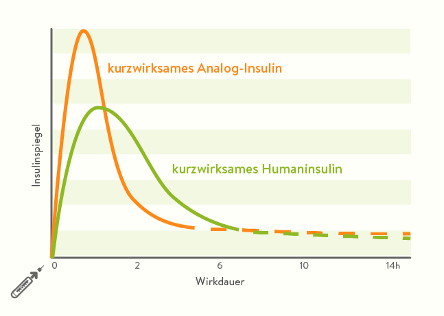 Postprandiale Glukose Warum Der Blutzucker Nach Dem Essen So Wichtig Ist Mysugr